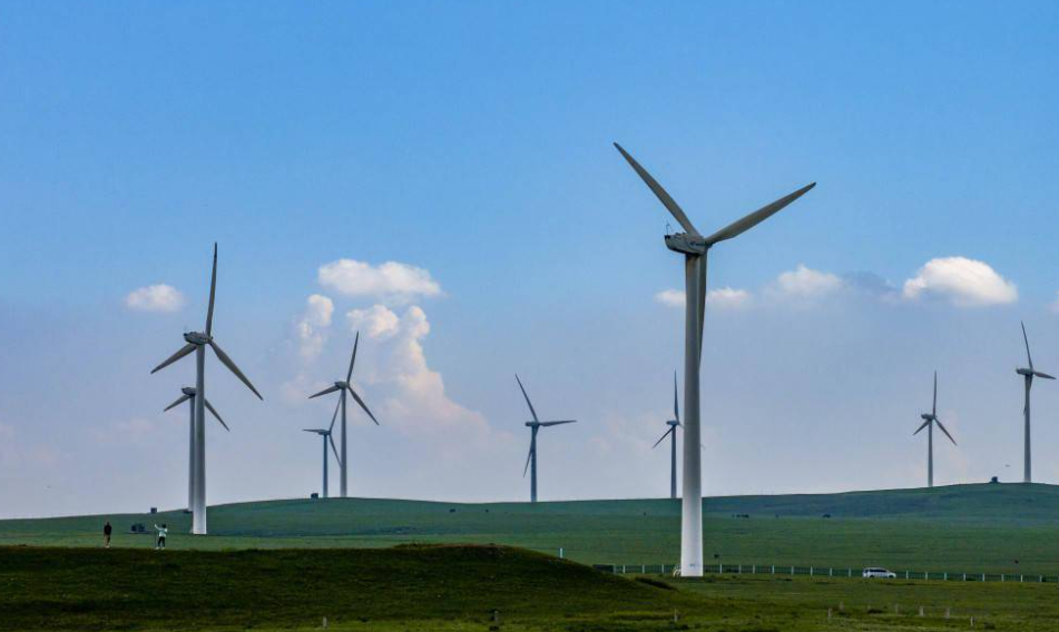 1728869232340006.png image.png