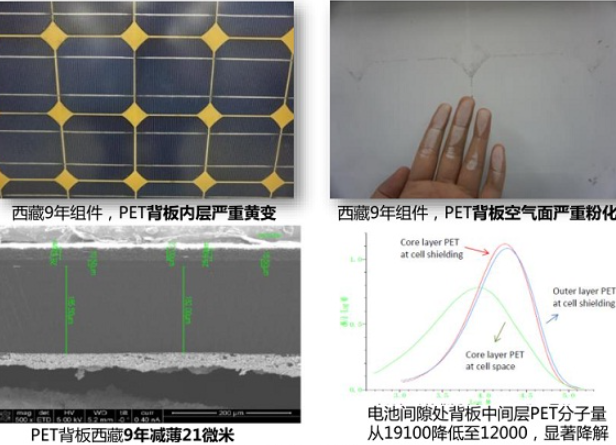 1729220117568618.png image.png