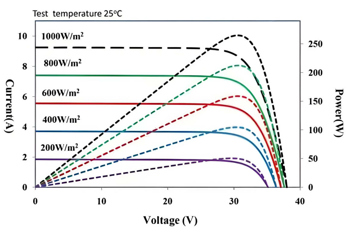 1731033795600981.png image.png