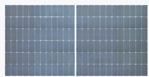 1737016471105944.png EL 2.png