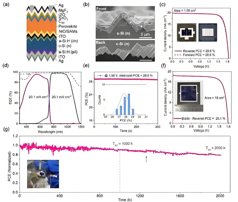 钙钛矿叠加电池理论转换率对比